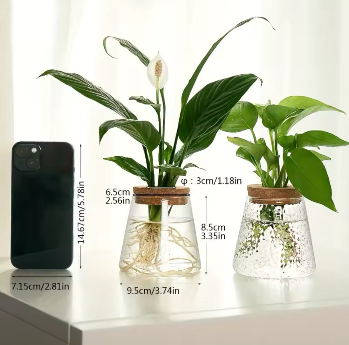 (Set of 2x ) Small Clear Vase indoor plants