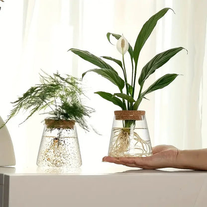 (Set of 2x ) Small Clear Vase indoor plants