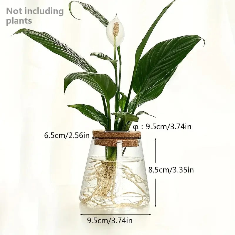 (Set of 2x ) Small Clear Vase indoor plants