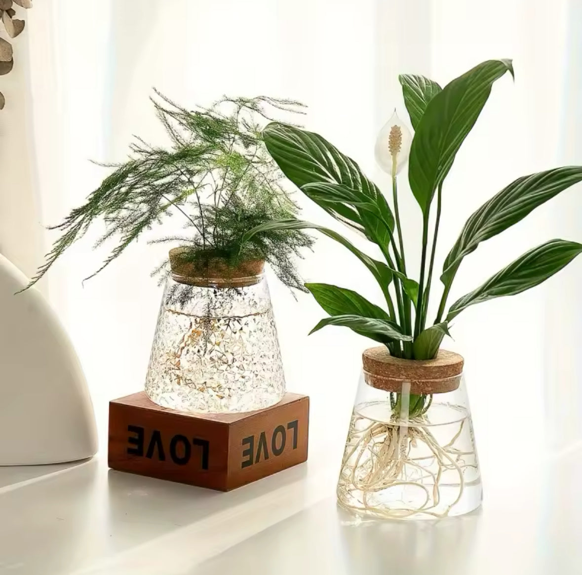 (Set of 2x ) Small Clear Vase indoor plants