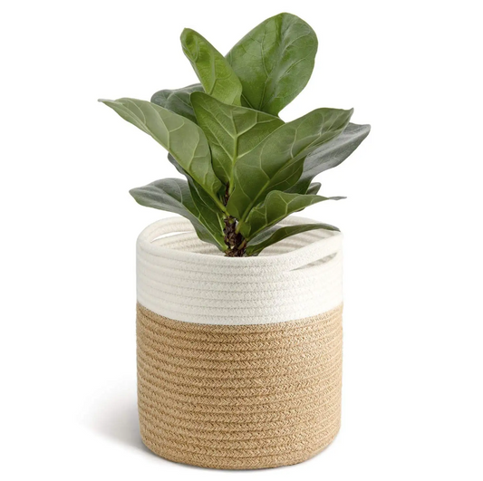 Jute Spliced Cotton Rope Plant Basket